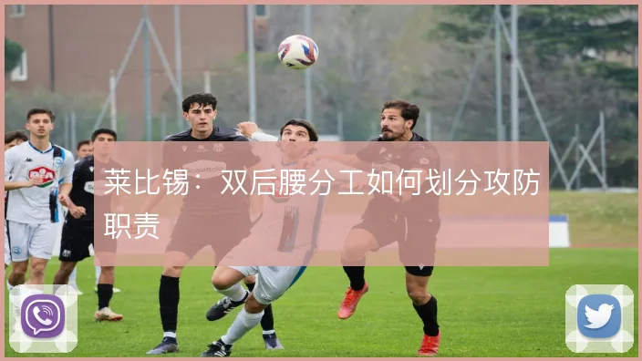 莱比锡:双后腰分工如何划分攻防职责