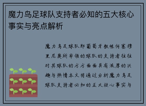 魔力鸟足球队支持者必知的五大核心事实与亮点解析